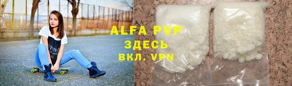 дмт Белокуриха