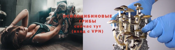 скорость Богданович