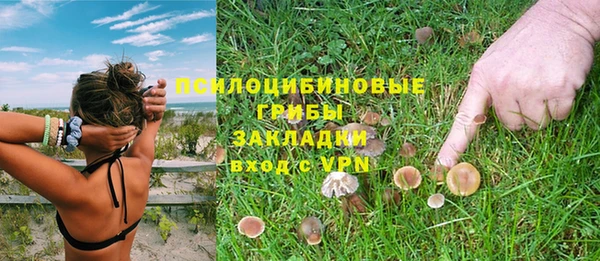 а пвп мука Беломорск
