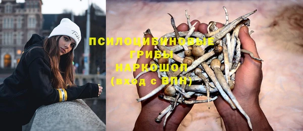 прущий лед Богородицк