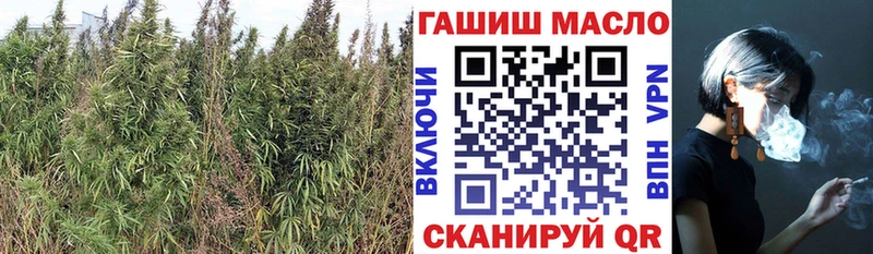 ТГК гашишное масло  что такое   Шарыпово 