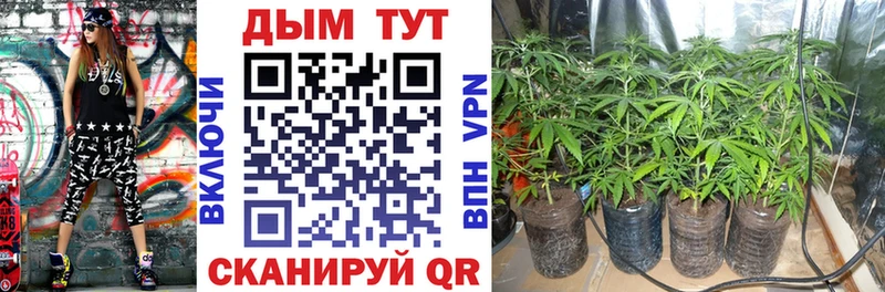 МАРИХУАНА White Widow  мега зеркало  Шарыпово 